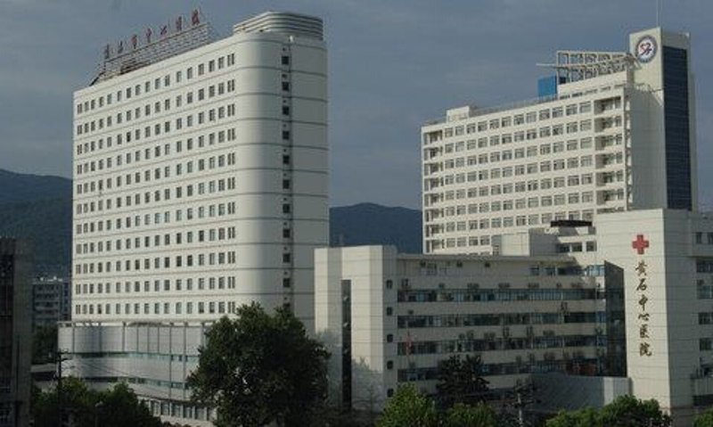 中医诊疗：传统智慧的现代应用